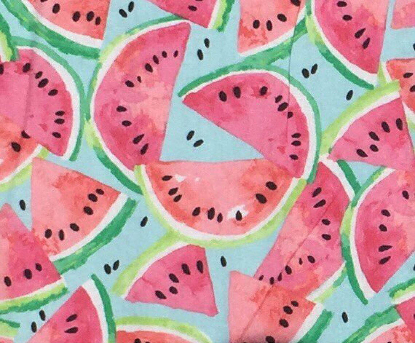 One in a Melon birthday shirt / Watermelon birthday shirt / watermelon birthday / watermelon birthday party / watermelon first birthday