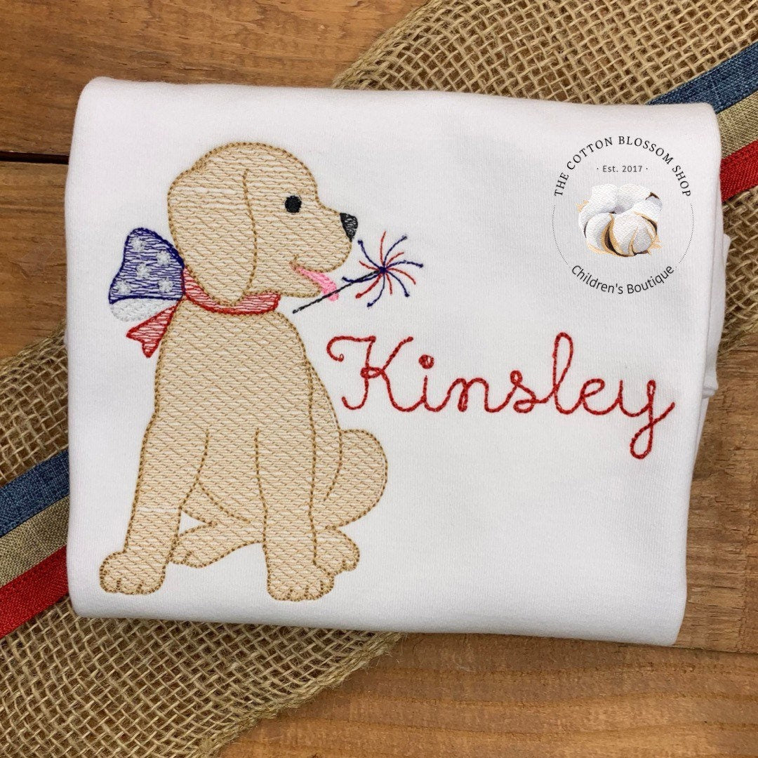 Brother and sister matching 4th of July shirts, sibling shirt set, matching patriotic appliqué shirts, brother sister matching 4th of july