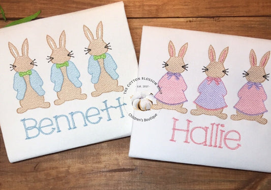 Brother and sister matching Easter outfit, sibling shirt set, Bunny personalized Shirt, girls easter shirt, easter shirt, embroidered