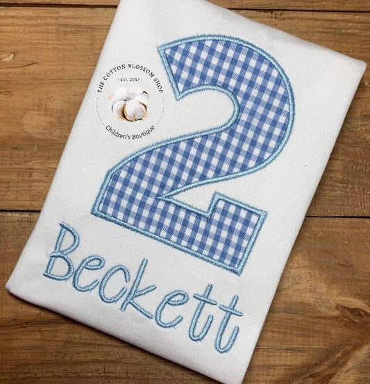 Boys light Blue and White gingham birthday shirt, boys second birthday shirt, boys light blue birthday shirt, 2nd birthday shirt, applique